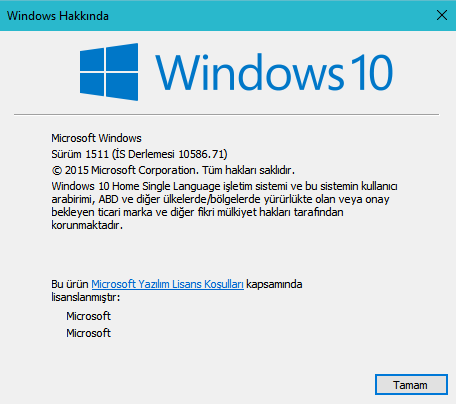 Windows 10 Sürüm Numarasına Nasıl Bakılır 2