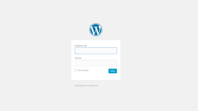 wordpress-site-nasil-anlasilir-1