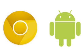 chrome-canary-nedir-ve-nasil-kullanilir-3