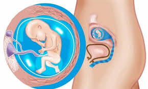 hamileligin-onikinci-haftasinda-yasanacak-degisimler-nelerdir-2