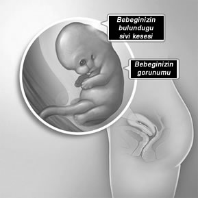 kadinlarda-hamileligin-sekizinci-haftasinda-yasanacak-degisimler-nelerdir-5
