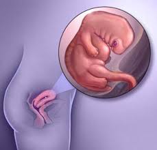 kadinlarda-hamileligin-yedinci-haftasinda-yasanacak-degisimler-nelerdir-3
