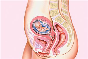 hamileligin-onbesinci-haftasinda-yasanacak-degisimler-nelerdir-4