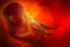 hamileligin-ondorduncu-haftasinda-yasanacak-degisimler-nelerdir-3
