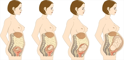 hamileligin-ondorduncu-haftasinda-yasanacak-degisimler-nelerdir-5